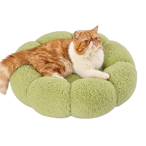 Lesure Calming Cat Beds for Indoor Cats - Cute Flower Pet Beds in Teddy Sherpa Plush, Donut Round Fluffy Puppy Bed, Non-Slip Extra Small Dog Bed Fits up to 15 lbs, Machine Washable, Green 20" - 20.0"L x 20.0"W x 6.0"Th - Green