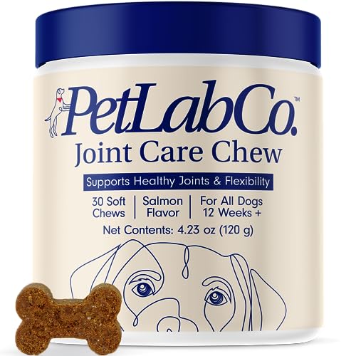 Petlab Co. Joint Care Chews - High Levels of Glucosamine for Dogs, Green Lipped Mussels, and Omega 3 - Dog Hip and Joint Supplement to Actively Support Mobility - Salmon - Salmon - Single Pack
