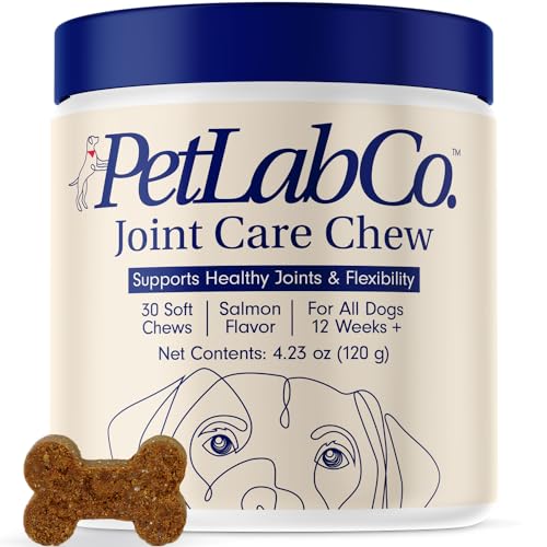 Petlab Co. Joint Care Chews - High Levels of Glucosamine for Dogs, Green Lipped Mussels, and Omega 3 - Dog Hip and Joint Supplement to Actively Support Mobility - Salmon - Salmon - Single Pack
