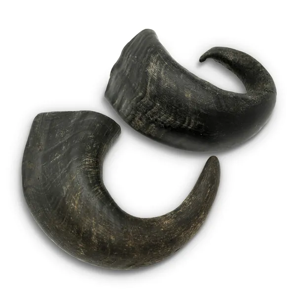 Wild Eats Water Buffalo Horn  Tuffie No Hide Dog Bones  Dog Chews - Various Sizes (All Natural, Single Source Protein, Grain Free Dog Treat, Long Lasting Dog Chews  Dog Bones for Aggressive Chewers