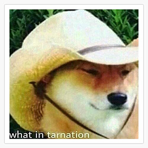 What In Tarnation - Doge Meme Vinyl Waterproof Sticker Decal Car Laptop Wall Window Bumper Sticker 5"