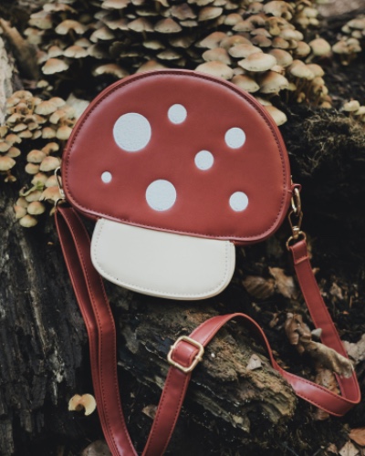 Mushroom bag