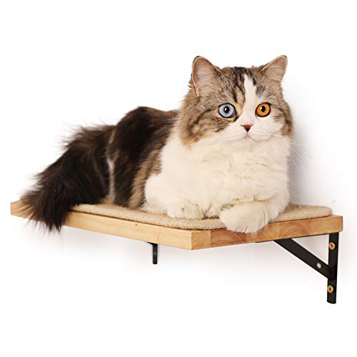 Floating Wall Shelf with Cat Scratching Mat