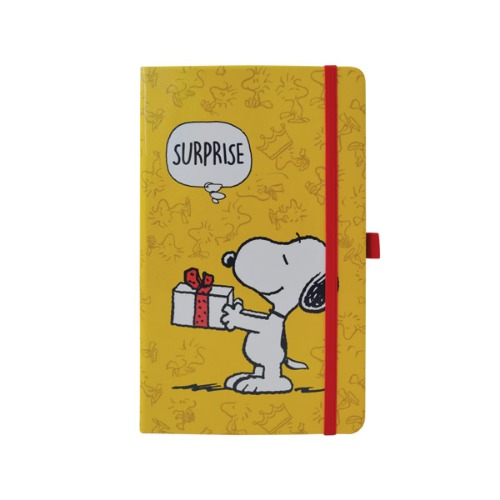 Snoopy notebook