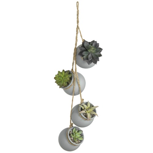 Little Succulent Pots :)