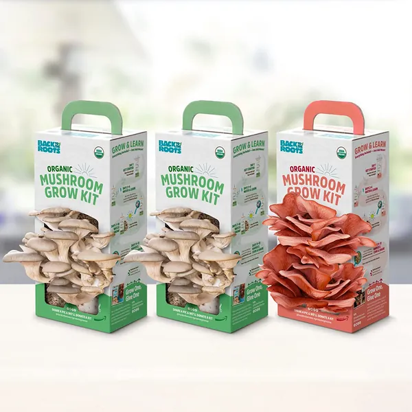Back to the Roots Organic Mushroom Grow Kit 3-Pack: Oyster, Oyster & Pink-Harvest Gourmet Mushroom in Just 10 Days - 3-Pack Mushroom Grow Kit