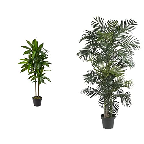Nearly Natural 48in. Dracaena Silk (Real Touch) Artificial Plant, 48", Green and Nearly Natural 5289 6.5ft. Golden Cane Palm Silk Tree, Green - Silk Plant + Silk Tree,Green