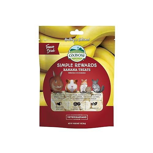 Oxbow Simple Rewards Freeze Dried Banana Treats for Rabbits, Guinea Pigs, Chinchillas, and Small Pets - Banana - 1 Ounce (Pack of 1)
