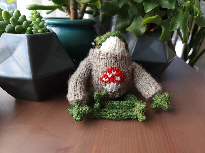 Mushroom sweater for Tiktok small frog