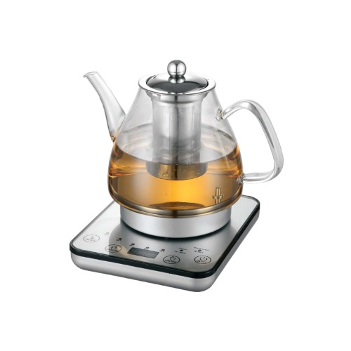 Healthy Choice Electric Glass Kettle - 800W Cordless Fast Boil Digital Glass Kettle with Tea Infuser - Multi-Function Tea Maker & Hot Water Boiler - Auto Shut Off - 1.2L, Silver