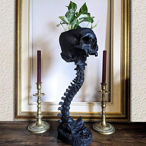 Huasean Totenkopf Mit Rückgrat, Pflanzentopf, Kunstharz, Totenkopf-förmiger Blumentopf, Skelett, Heimdekoration, Goth-Grusel-, Vase Für Sukkulenten, Zimmerpflanzen Und Blumen - Schwarz