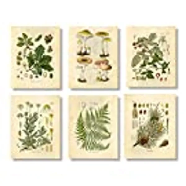 Vintage Botanical Prints | Woodland Plants by Ink Inc. | Forest Wildflower Mushrooms Wall Art | Boho Farmhouse Decor | Set of 6 8"x10" Unframed