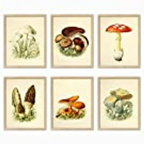 LIYAOLI Vintage Mushroom Botanical Wall Art Prints Posters for Room Aesthetic,11 x 14 Inch Unframed Plant Poster ​Set of 6 Mushroom Cottagecore Room Decor Bedroom Teen Girl Living room Wall Decor
