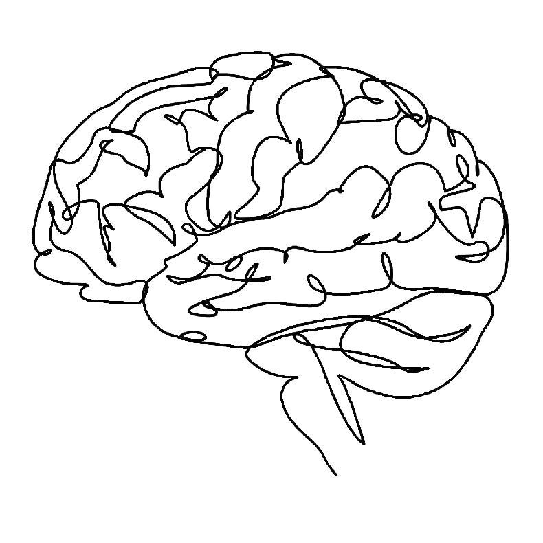 CT - Brain - BBYUV - 6728843 - 3 x 3 in