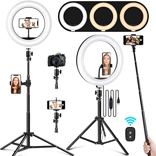 Ring Light with Stand and Phone Holder, 10.2" Selfie Ring Light with 65" Adjustable Tripod Stand, Dimmable LED Ring Light Kit for Tiktok/YouTube/Makeup/Photography, Selfie Stick and Ring Light 2 in 1