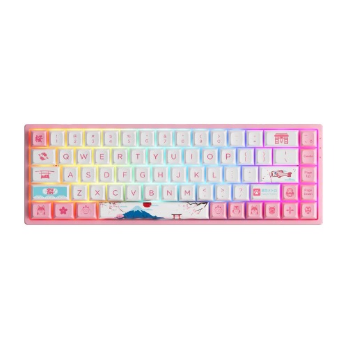 EPOMAKER AKKO 3068B World Tour R2 65% Hot-Swap Multi-Mode Wireless Mechanical Keyboard with RGB Backlight, Dye-sub PBT Keycaps for Gamers/Mac/Win (AKKO CS Jelly Pink, 3068B World Tour R2)