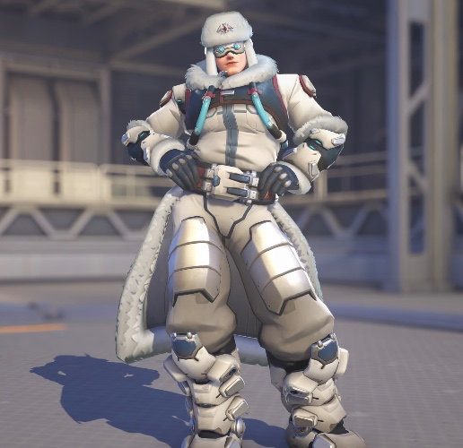 Zarya | Skin | Arctic
