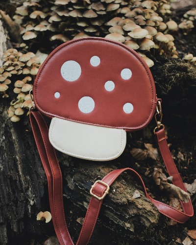Mushroom bag