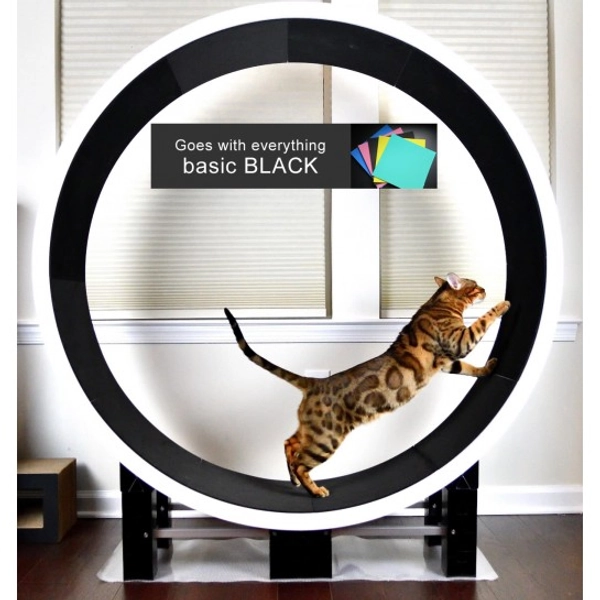 Ferris Cat Exercise Wheel G5 - ZiggyDoo