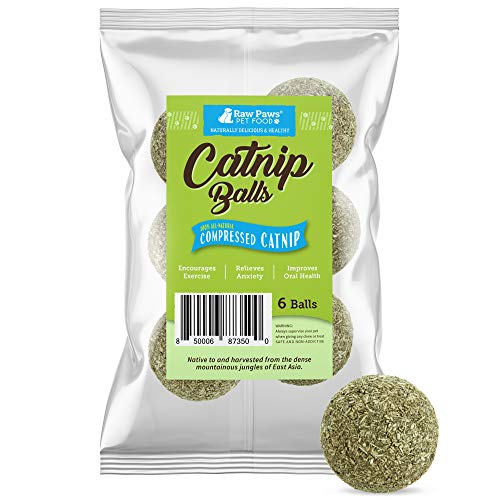 Raw Paws Catnip Balls, 6 ct - Interactive Cat Toy for Indoor Cats - Cat Ball Toy - Kitten Toys - Cat Nip Ball Cat Toy - Cat Lick Ball - Cat Nip Cat Toys - Natural Catnip Ball for Cats of All Breeds