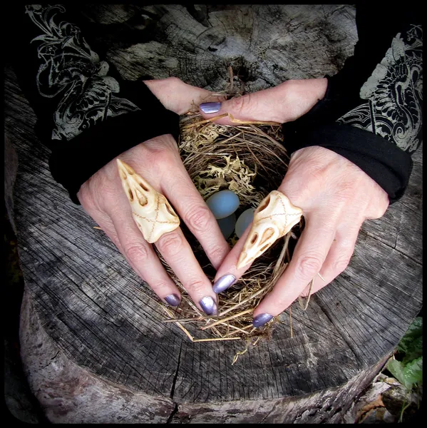 Bird Skull Ring