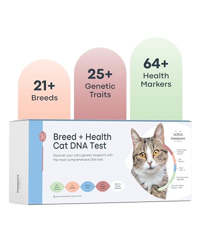 Basepaws Cat DNA Test Kit - Comprehensive Breed, Health and Dental Analysis Across 114 Traits for Accurate and Easy-to-Use Genetic Insights - Cat Breed + Health DNA Test - Basic