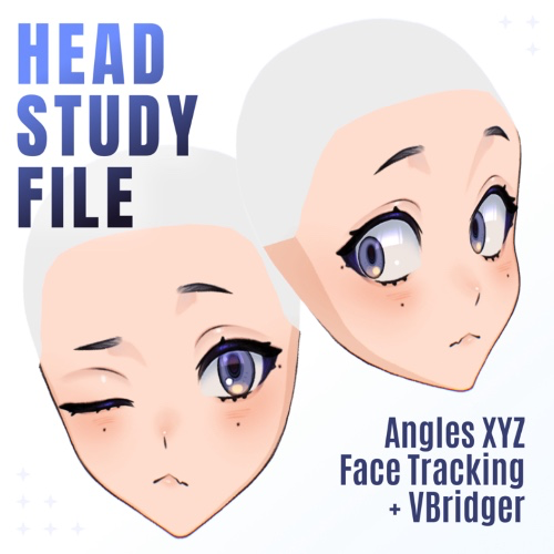 Live2D Rigging Class-Pack