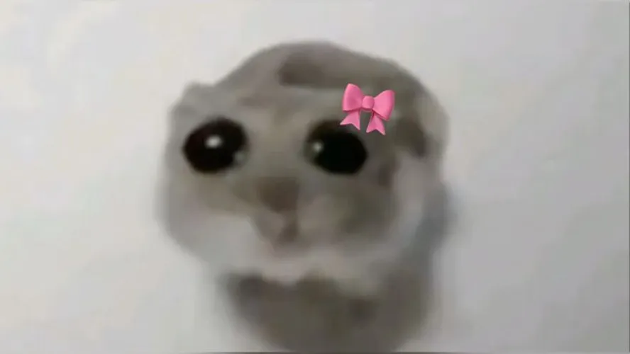 Seguro de vida MIKI⭐