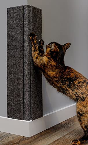 Little Gray Corner Wall Scratching Post