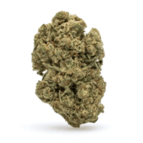 3.5g THCa Flower Banana Kush (delta 9 from cannabuddy)