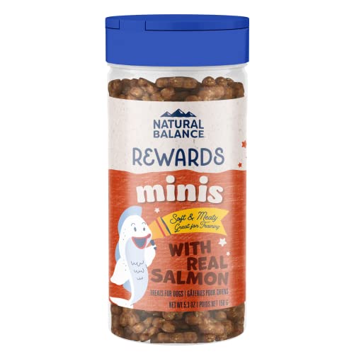 Natural Balance Limited Ingredient Mini-Rewards Salmon Grain-Free Dog Training Treats for Dogs | 5.3-oz. Canister - Salmon