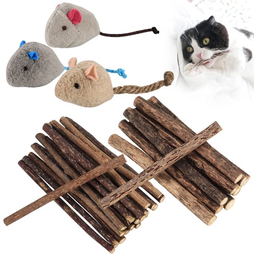 Catnip sticks and mice!