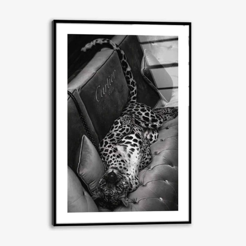 “Parisian Jaguar”