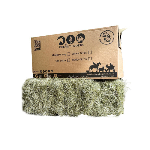 Small Bale High Nutrition, Timothy Hay, 100% Natural, for Rabbits &amp; Guinea Pigs