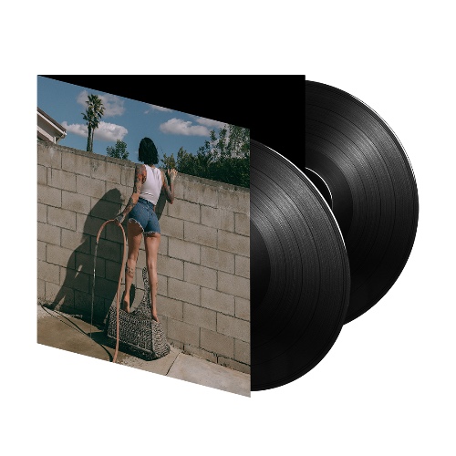 it was good until it wasn’t vinyl | Default Title