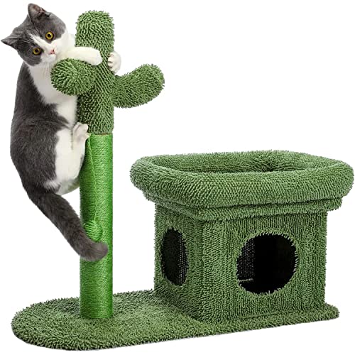 PEQULTI Cat Condo 3 in 1 Cactus Kitten House and Medium Bed, Cat Scratching Post for Indoor Cats with Natual Sisal Rope and Cat Toy Dangling Sisal Ball, Green Hammock - Cactus Cat Tree with Condo