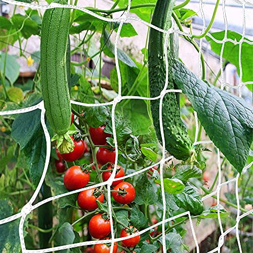 Trellis Netting, CANAGROW Heavy-Duty Garden Plant Trellis Netting for Climbing Plants, Outdoor Indoor Grow Net for Beans Tomatoes Peas Pumpkin Flowers, 𝟔 𝐱 𝟏𝟓𝐟𝐭, 𝟏 𝐏𝐚𝐜𝐤 - 1 - 6'x15'