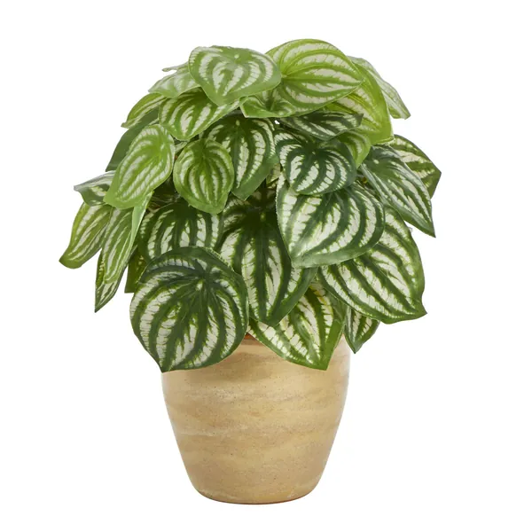 11” Watermelon Peperomia Artificial Plant in Ceramic Planter (Real Touch) by Nearly Natural