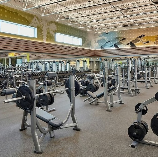 Gym Membership | 1 Month