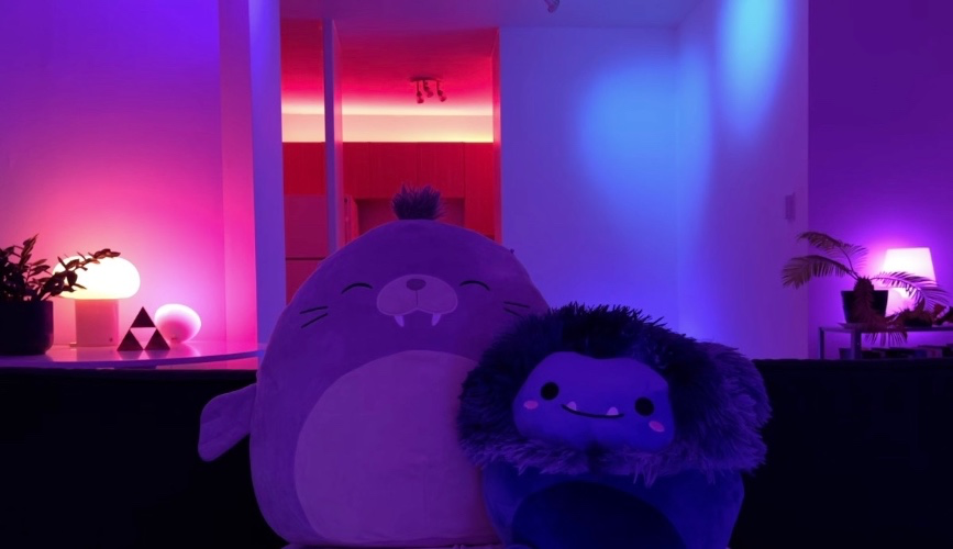 Rent Fund 🌇🫶🏽 (January)