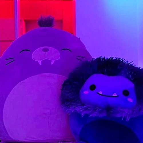 Rent Fund 🌇🫶🏽