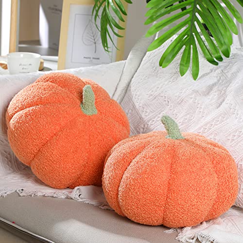 2 Pieces Pumpkin Throw Pillow 
