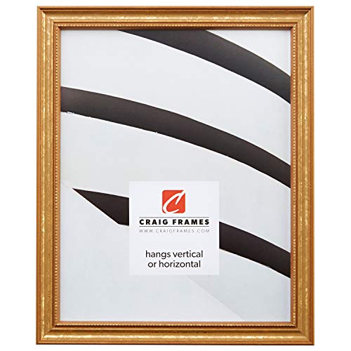 Craig Frames Stratton, 22x30 Picture Frame, Aged Gold - 22x30 - Aged Gold