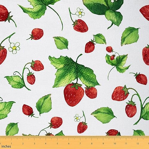 Erosebridal Strawberry Upholstery Fabric, Red Strawberry Fabric by The Yard, Food Fruit Decorative Fabric, Spring Summer Plants Indoor Outdoor Fabric, Red Green White, 5 Yards - Multi 16 - 5 Yards