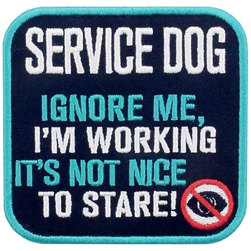 (3/3) It's Not Nice to Stare Patch