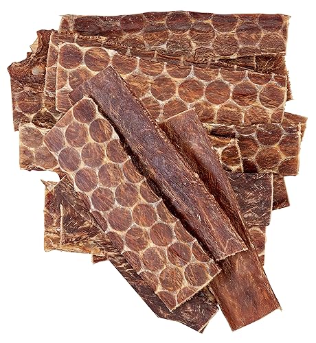 hotspot pets Beef Jerky Dog Treats Esophagus (6 Inches- 20 Pack) - 100% Natural Healthy Chews for Dogs - Meat Jerky Snack, All Natural from Grass Fed Cattle - 6 Inch (Pack of 20)