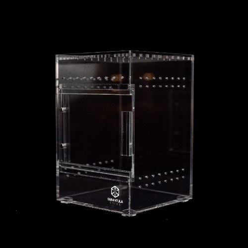 Small Treehouse - Clear Back