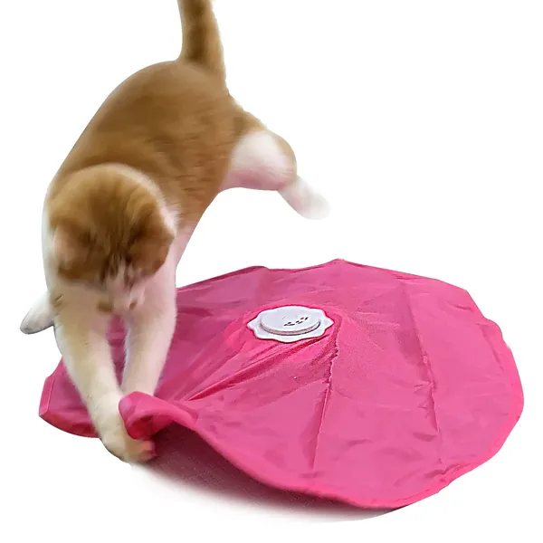 Visit the BlackHole Litter Mat Store Interactive Cat Play-Catch The Tail-Electric, Rotating Feather, Motion, Automatic, Best Undercover Mouse Under Blanket cat Toy - 