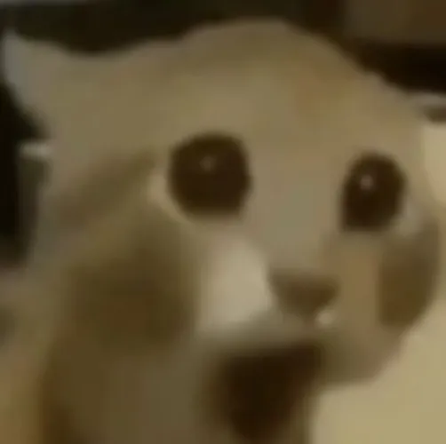 Cute mat so I don't ruin my desk :3