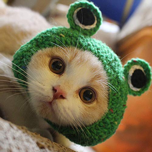 YuYww Adorable Pet Funny Hat Cartoon Frog Shape Pet Cap Weaving Puppy Cat Hat Pet Grooming Supplies for Everyday Decoration Christmas Halloween Decoration Use 1PCS